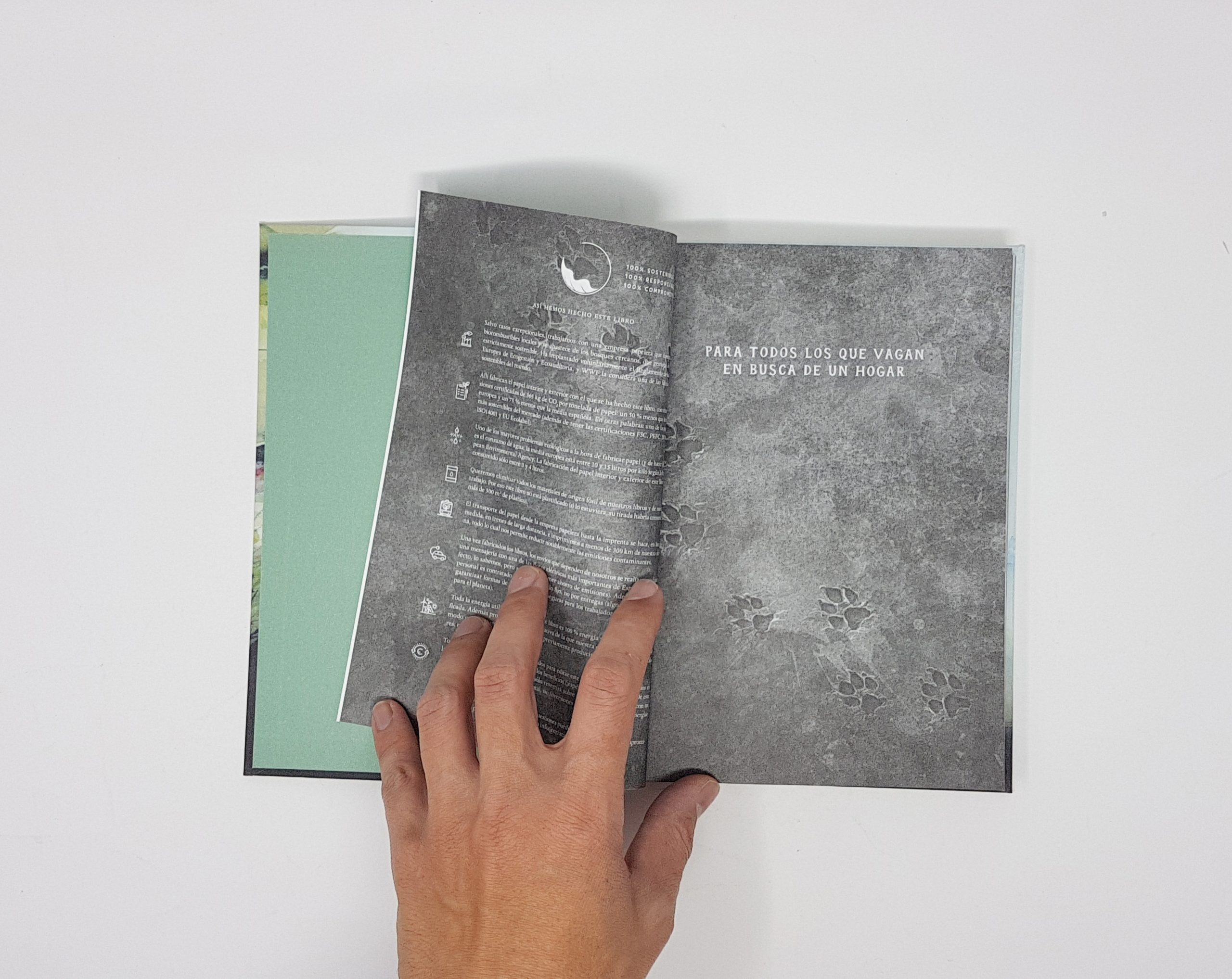 Un lobo llamado Wander - Imagen 7