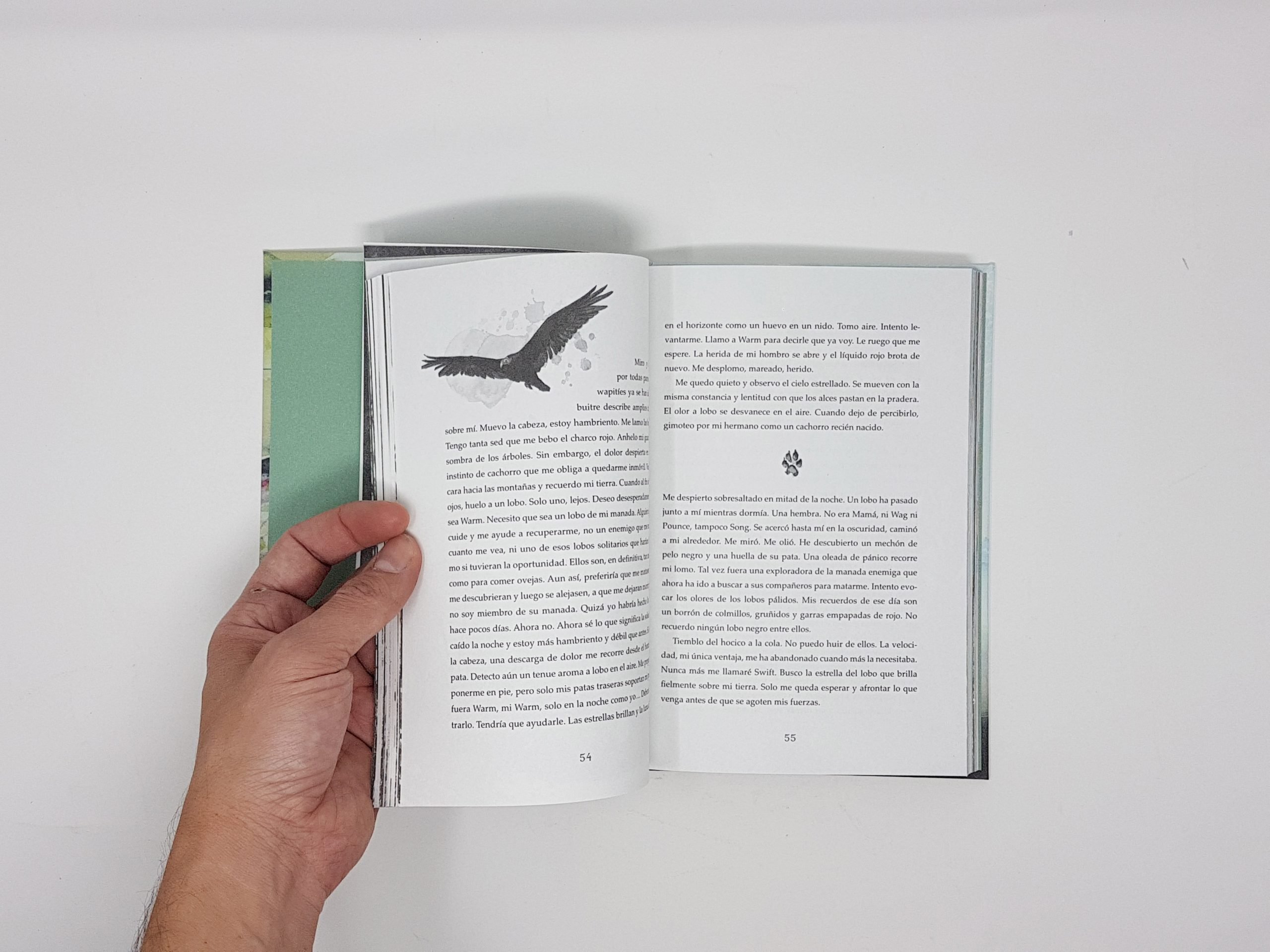 Un lobo llamado Wander - Imagen 9