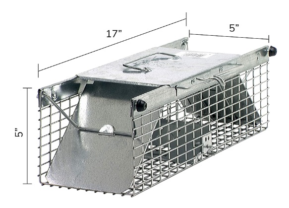 TRAMPA P/ARDILLA SQUIRL 604-5223 (1026) 18″*5″*5″