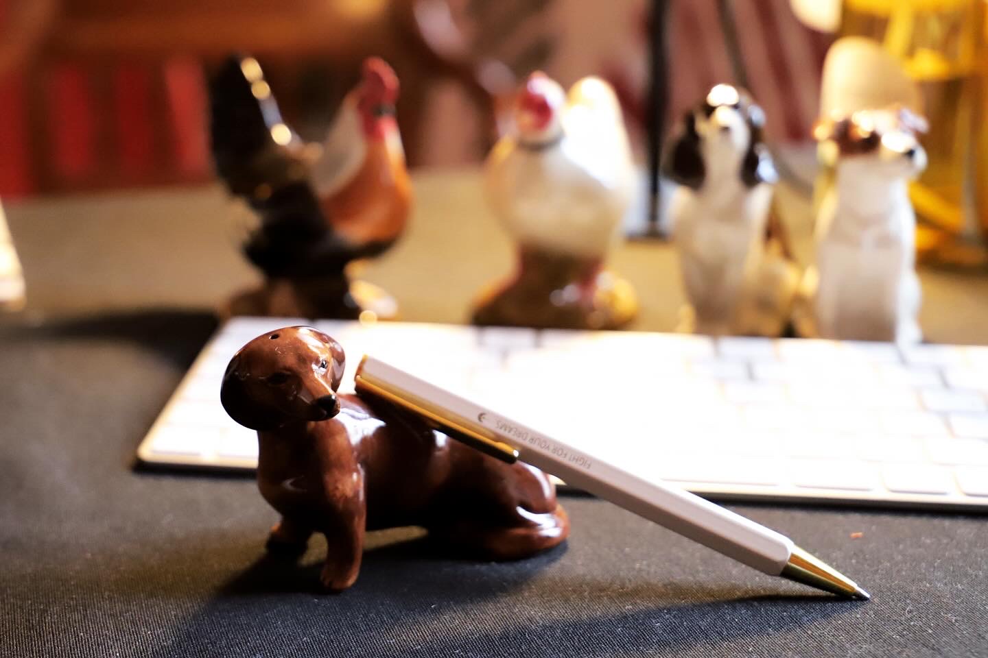 Sal Pimenteros teckel - Imagen 3