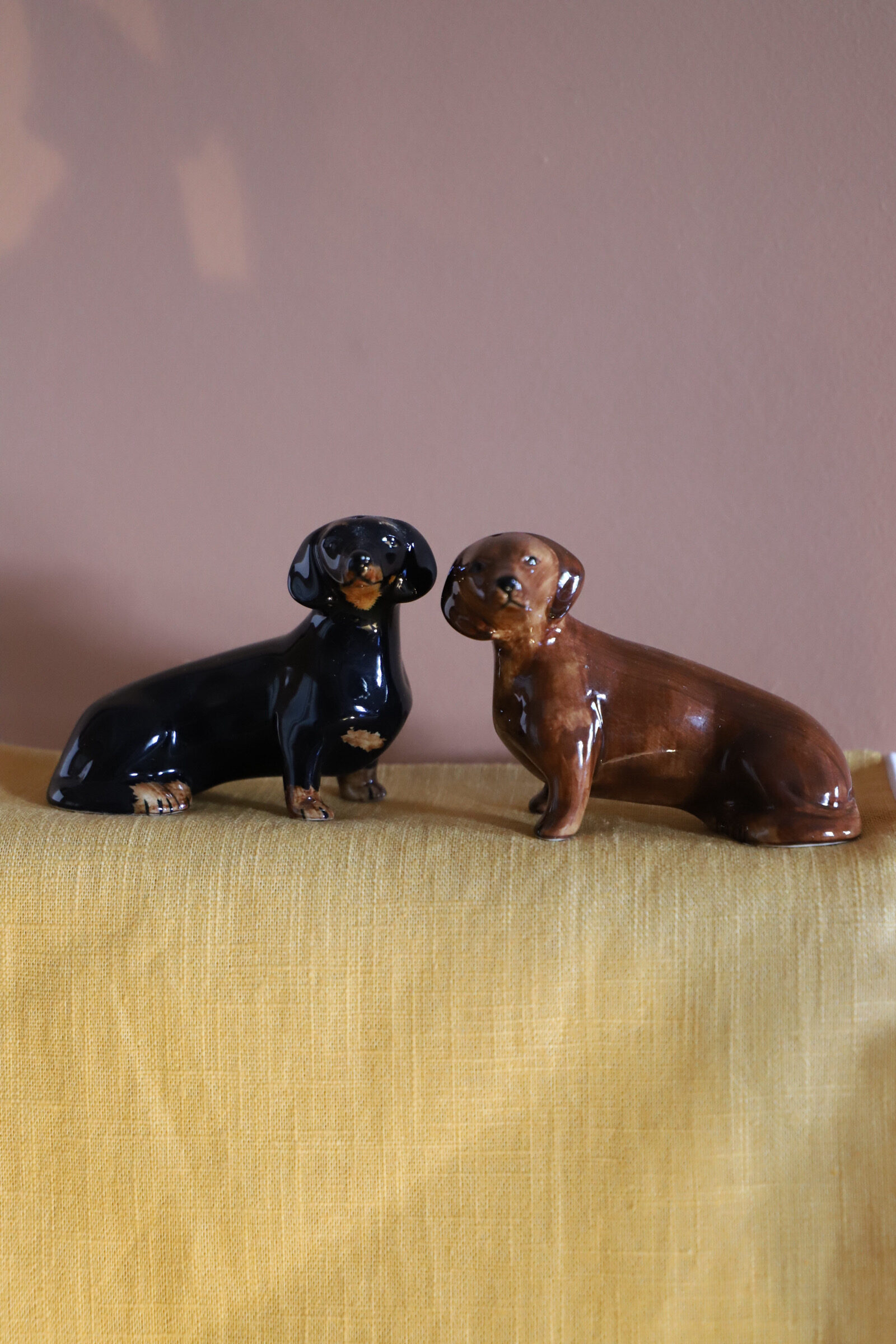 Sal Pimenteros teckel - Imagen 2