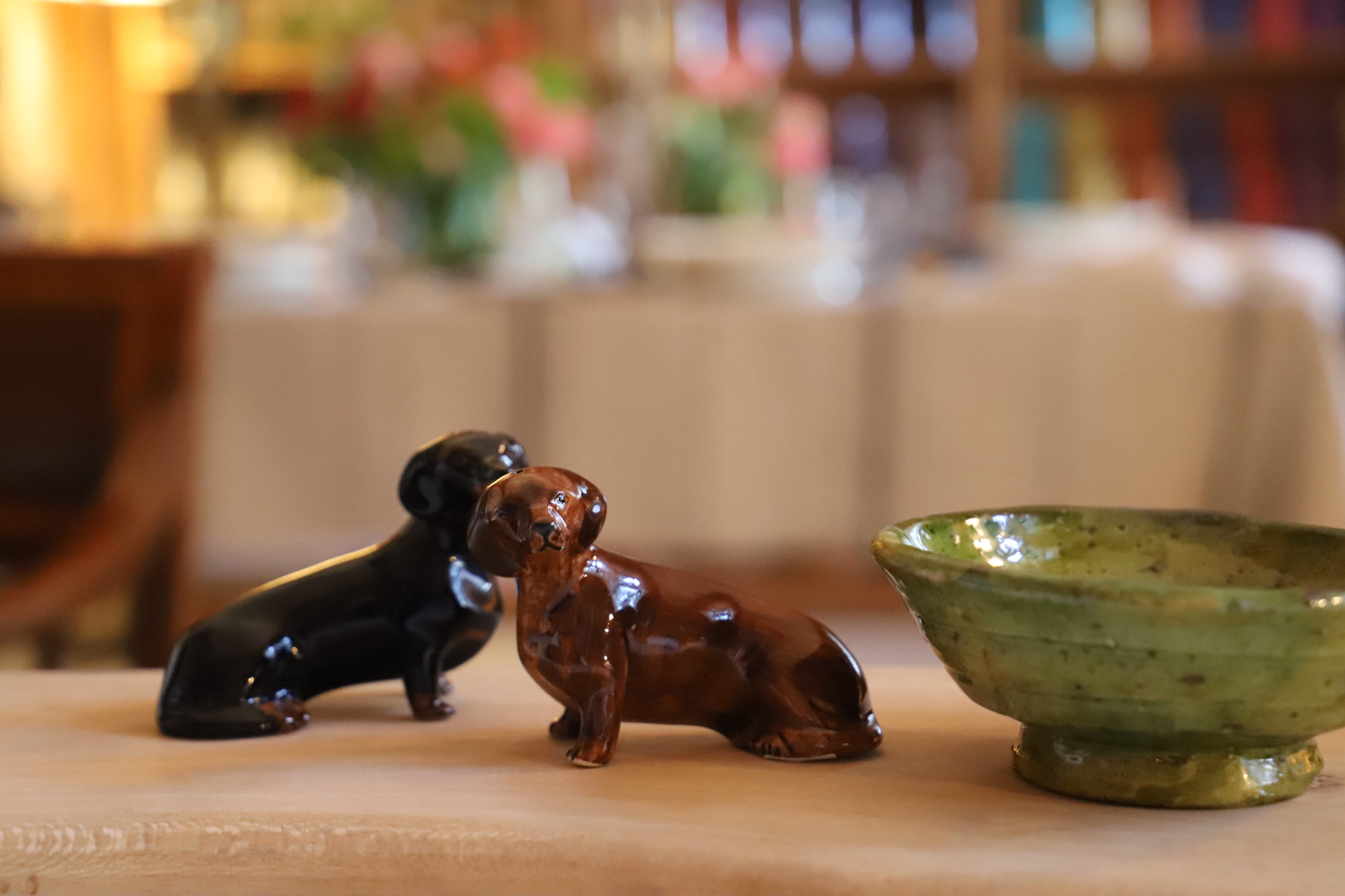 Sal Pimenteros teckel