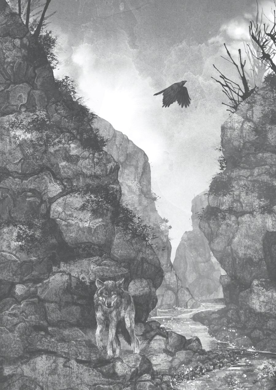 Un lobo llamado Wander - Imagen 4