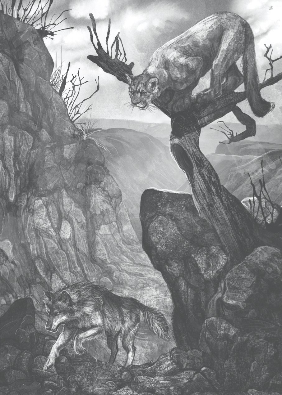 Un lobo llamado Wander - Imagen 2